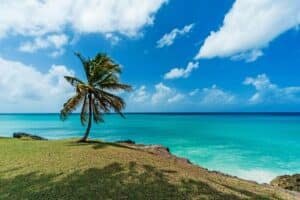 Villas in Barbados