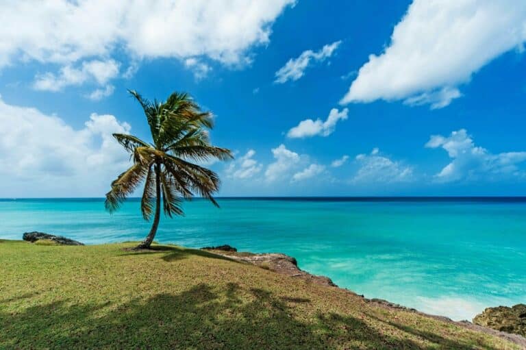 Villas in Barbados