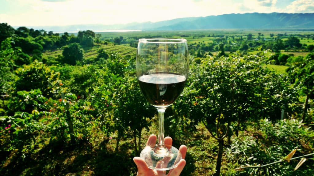 Hand holding a glass of red wine with vineyards and mountains in the background