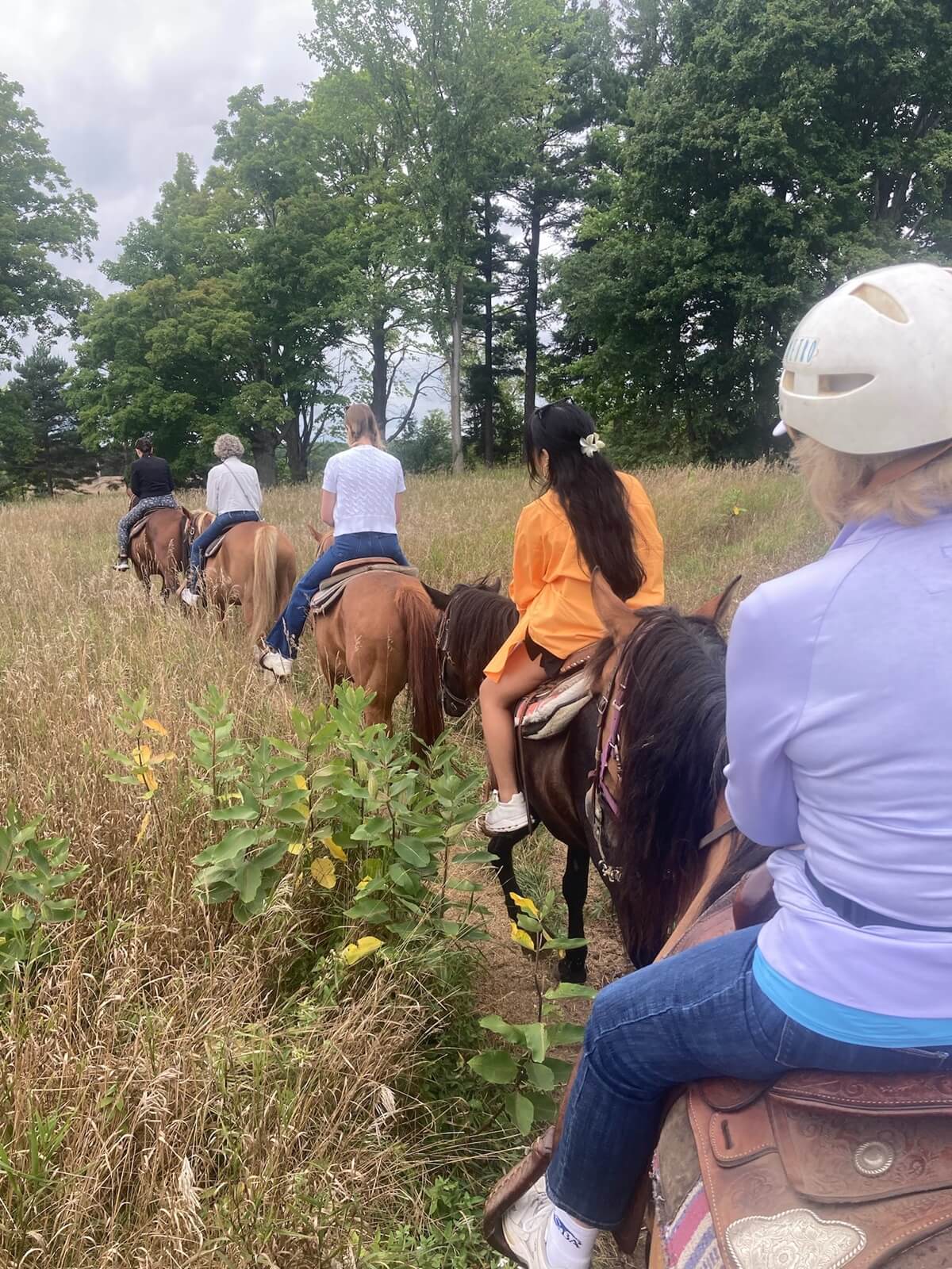 Family lined up riding horses together