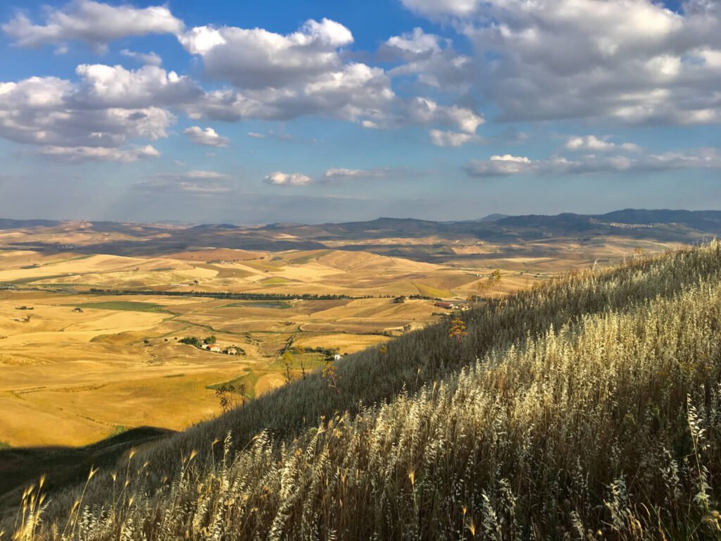Sunlit fields and rolling hills of Sicily viewed from an olive farm in Enna.