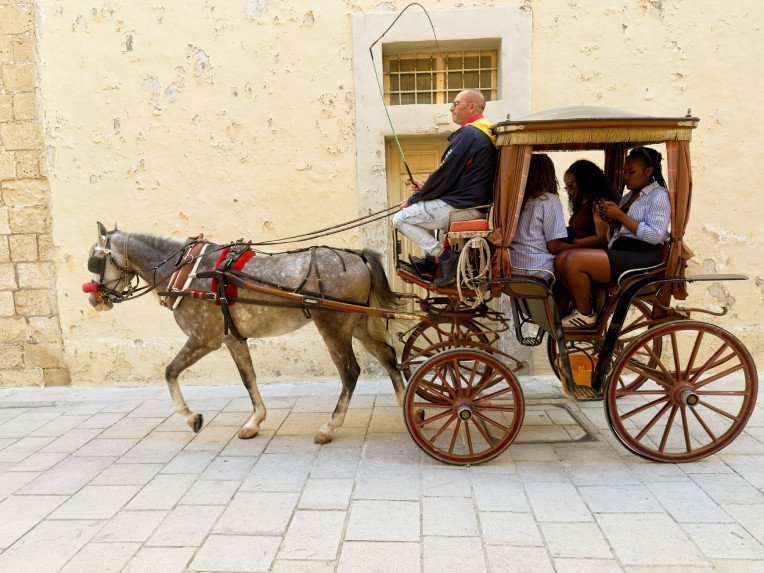 Horse carriage 1