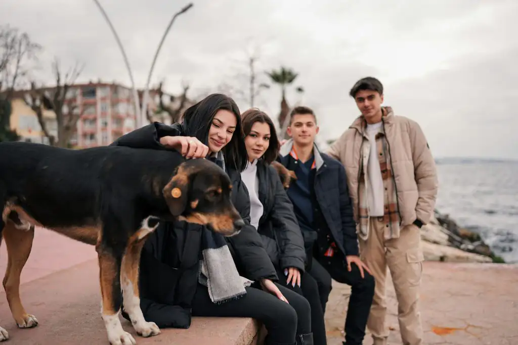 Madrid vs barcelona travel