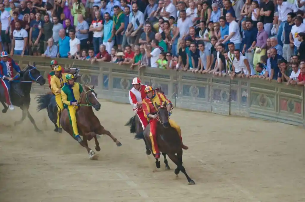 Palio di siena horse race