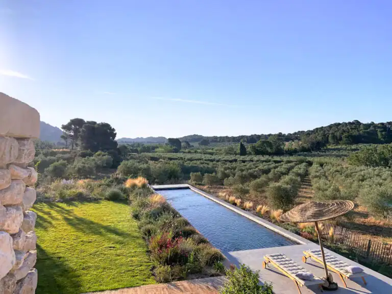 The ancient olive tree swimming pool