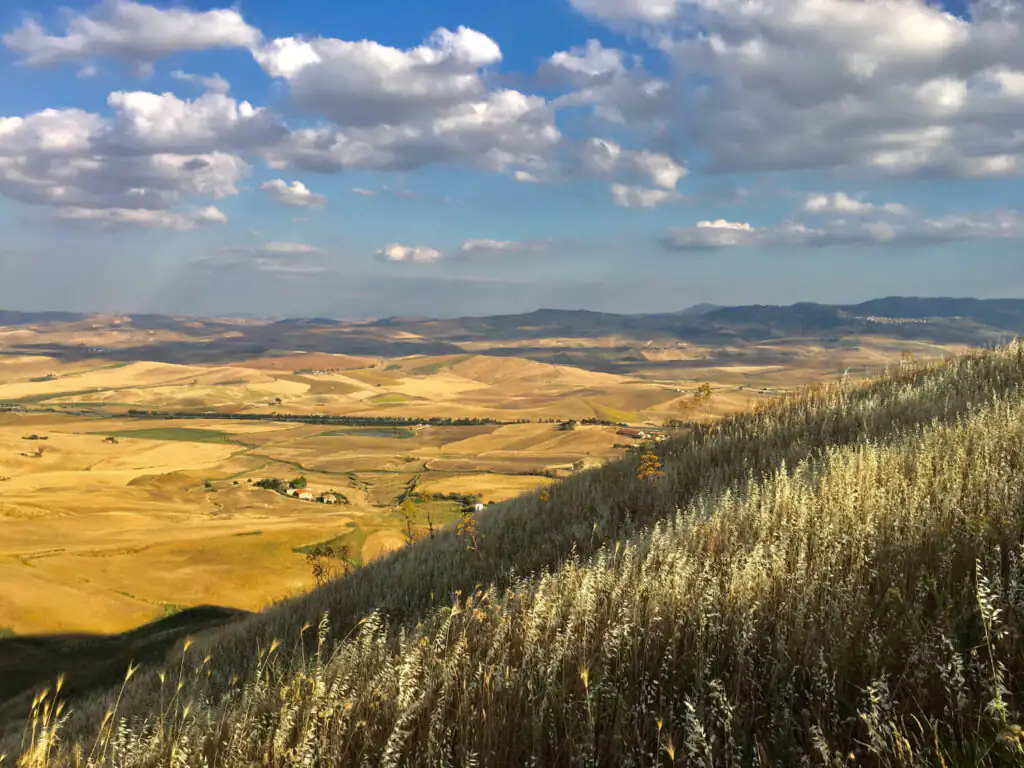 Sunlit fields and rolling hills of Sicily viewed from an olive farm in Enna.