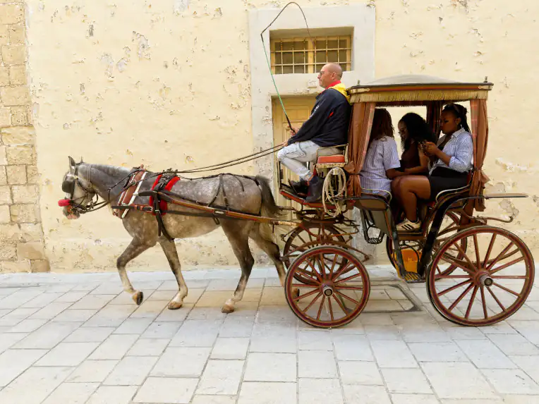Horse carriage 1